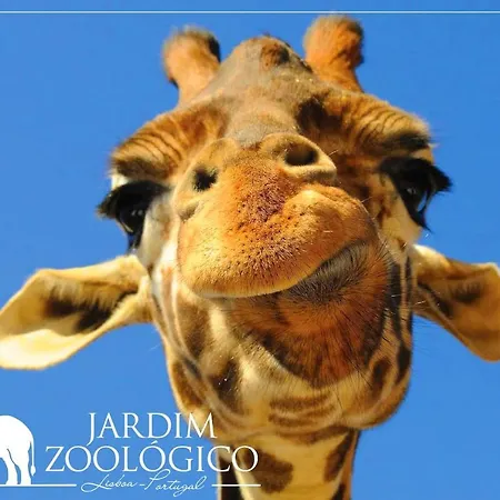 Six By Up I Your Away From Appartement Lisboa